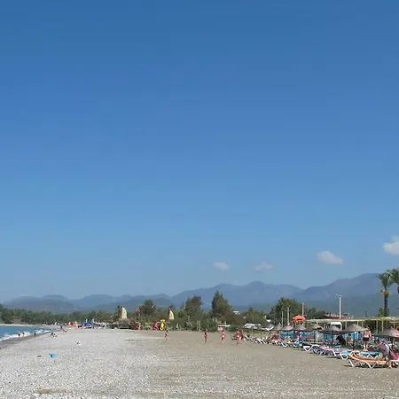 Sunset Beach Club Seashell 06 *